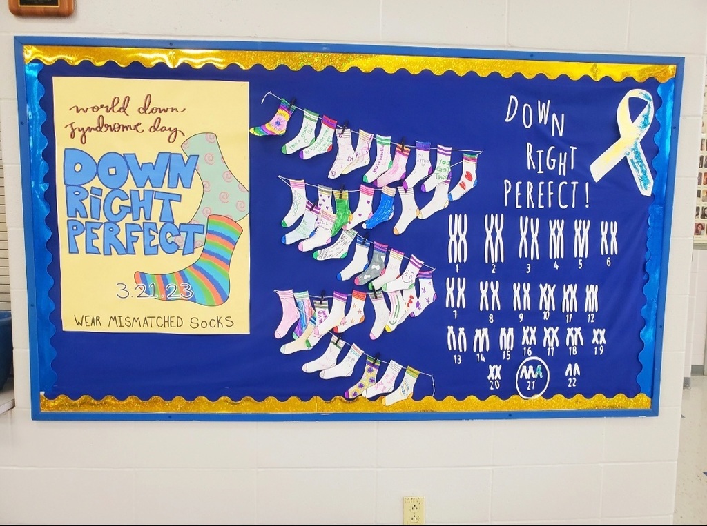 Poster Board for World Down Syndrome Day